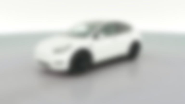 2023 Tesla Model Y vehicle photo