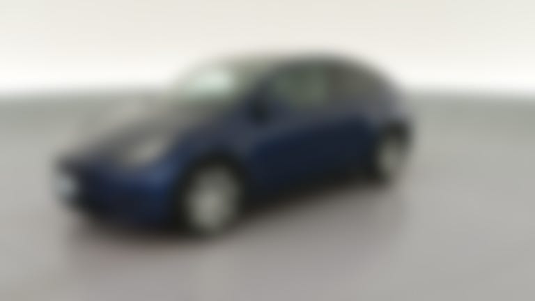 2021 Tesla Model Y vehicle photo