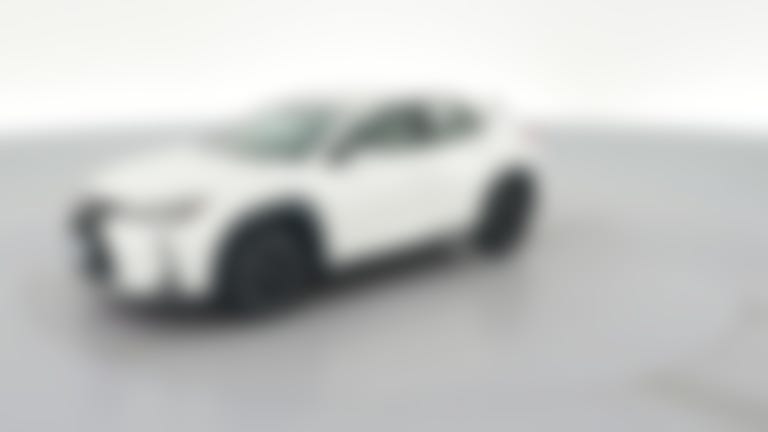 2020 Lexus UX vehicle photo
