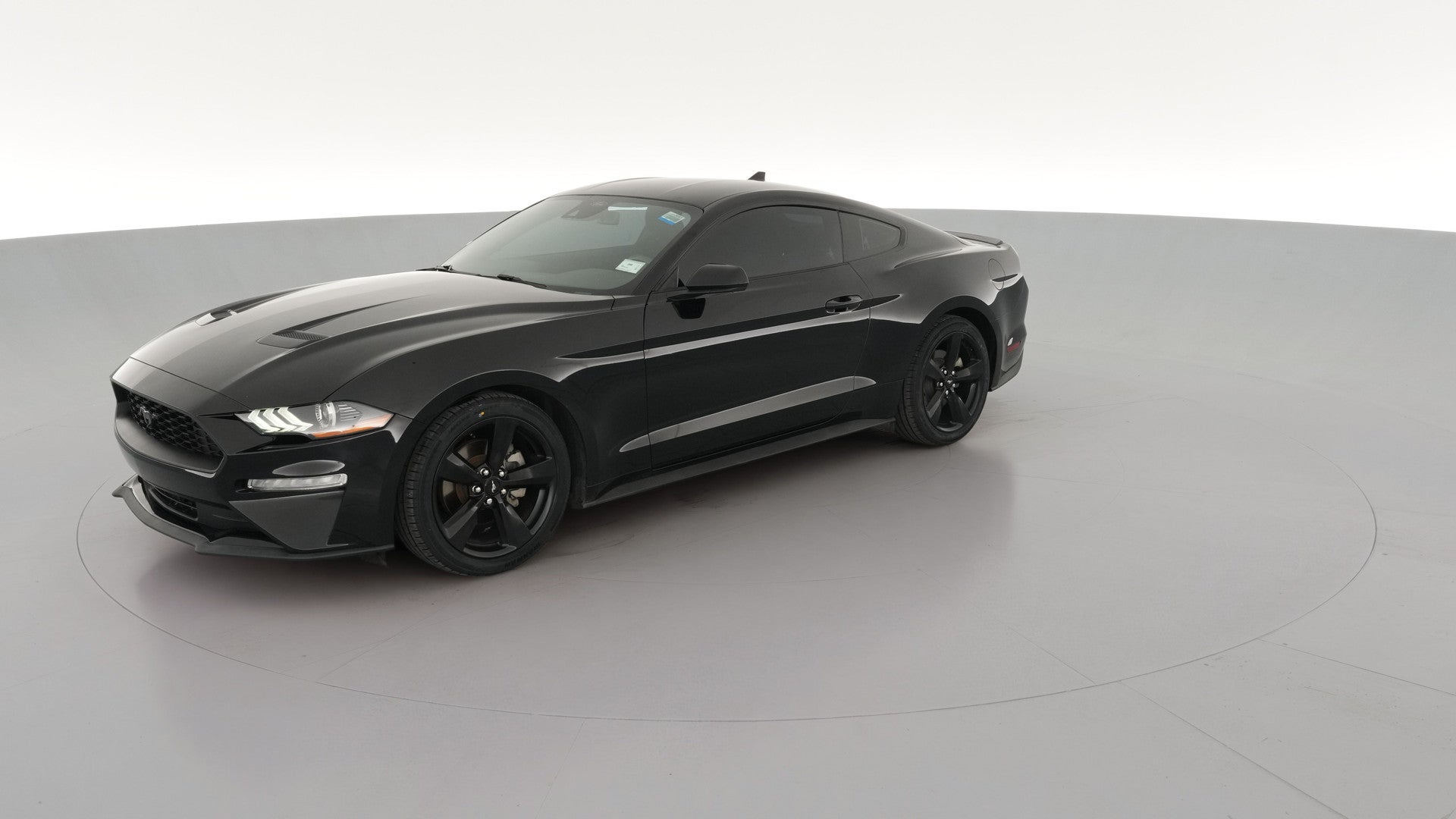 2022 Ford Mustang vehicle photo