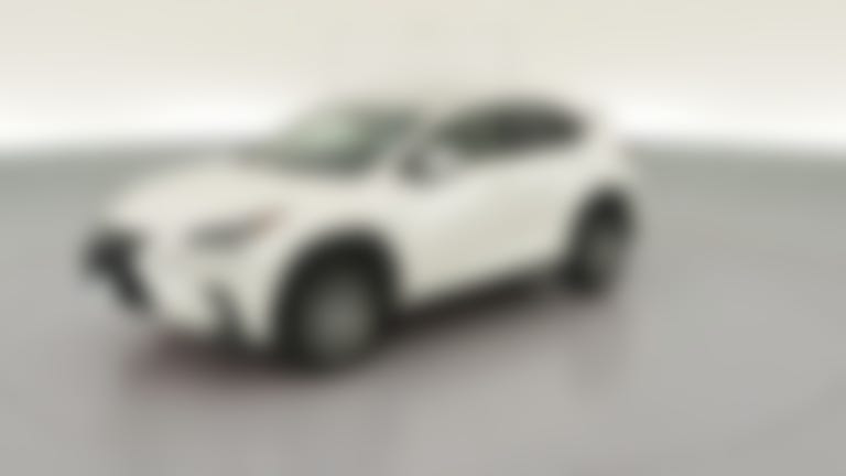 2021 Lexus NX vehicle photo