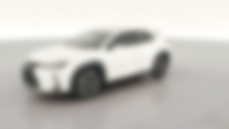 2019 Lexus UX vehicle photo