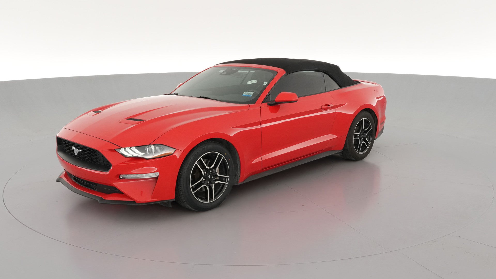 2023 Ford Mustang vehicle photo