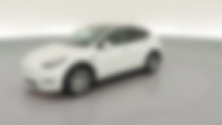 2021 Tesla Model Y vehicle photo