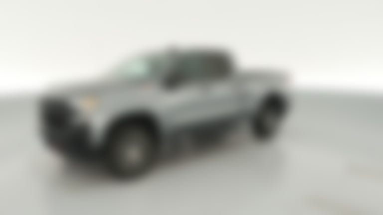 2019 Chevrolet Silverado 1500 Double Cab vehicle photo