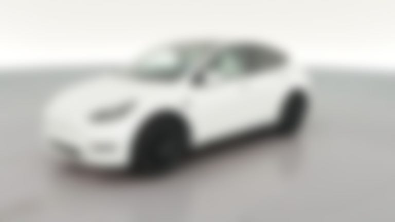 2023 Tesla Model Y vehicle photo
