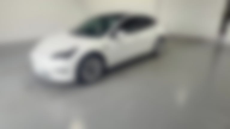 2021 Tesla Model 3 vehicle photo
