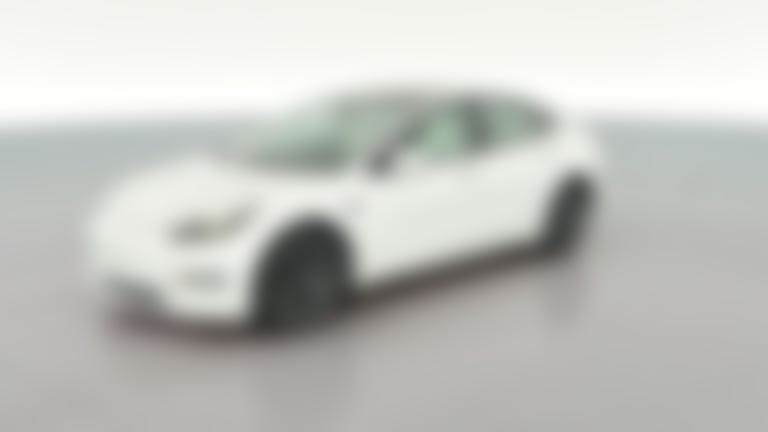 2021 Tesla Model 3 vehicle photo