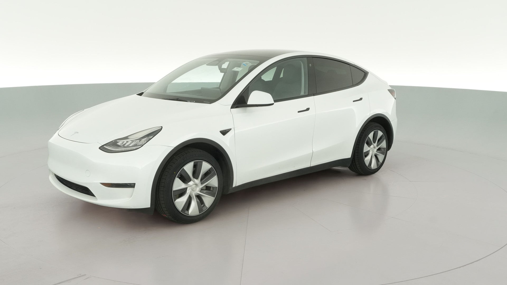 2023 Tesla Model Y vehicle photo