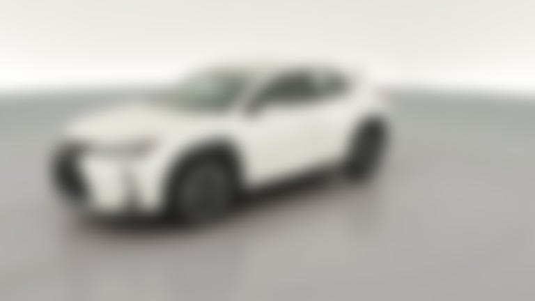 2021 Lexus UX vehicle photo