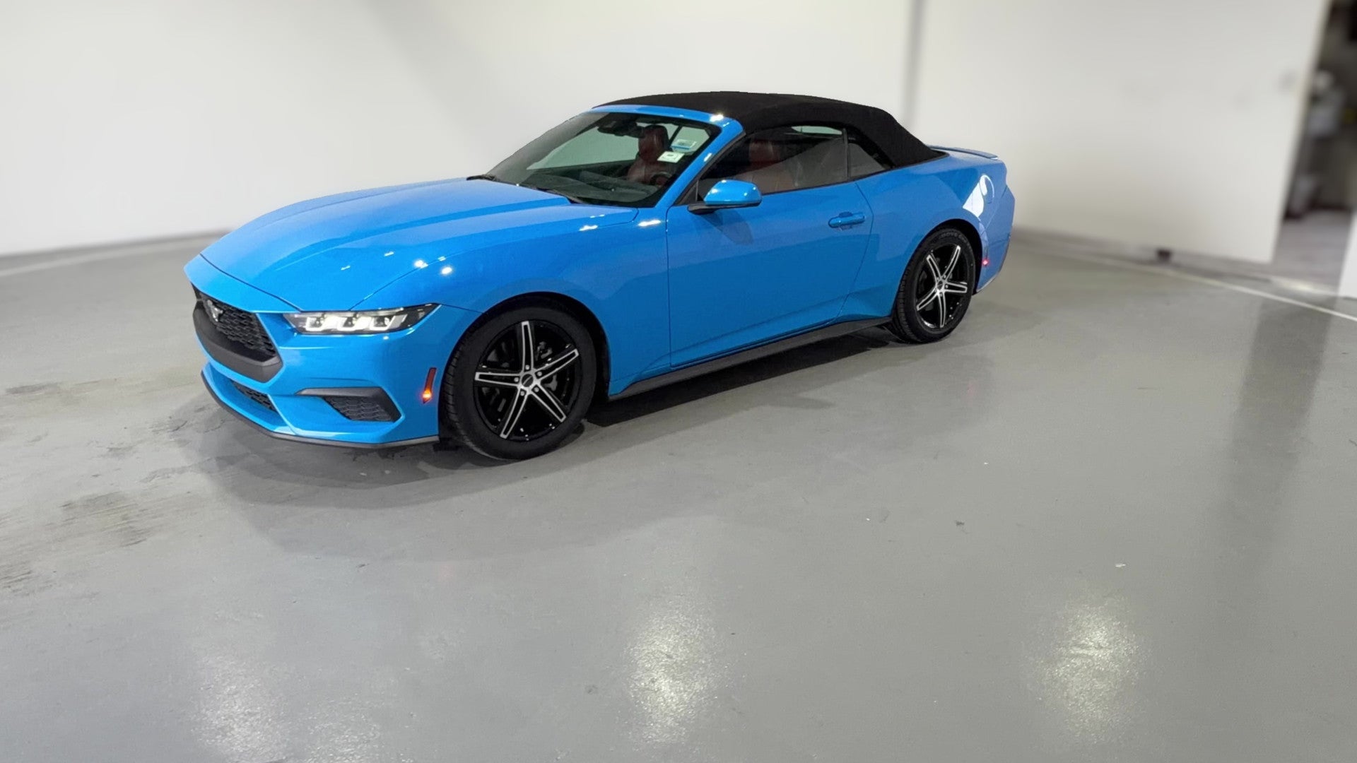 2024 Ford Mustang vehicle photo