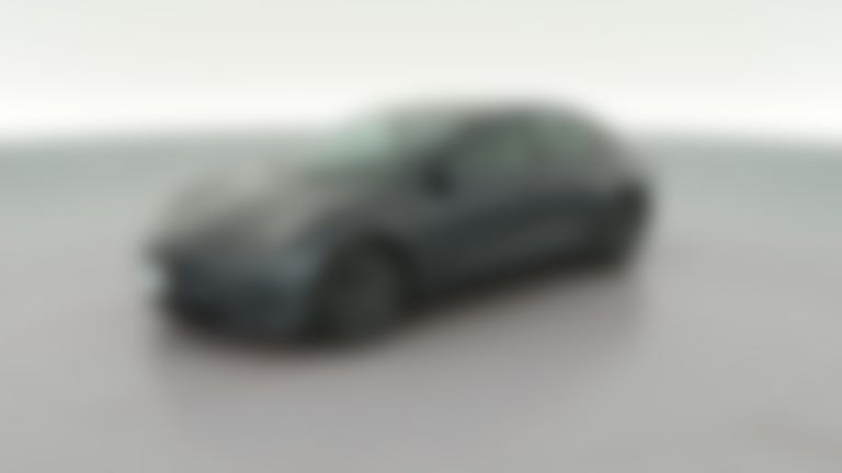 2021 Tesla Model 3 vehicle photo