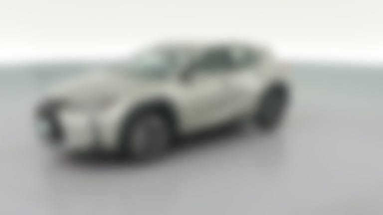 2019 Lexus UX vehicle photo