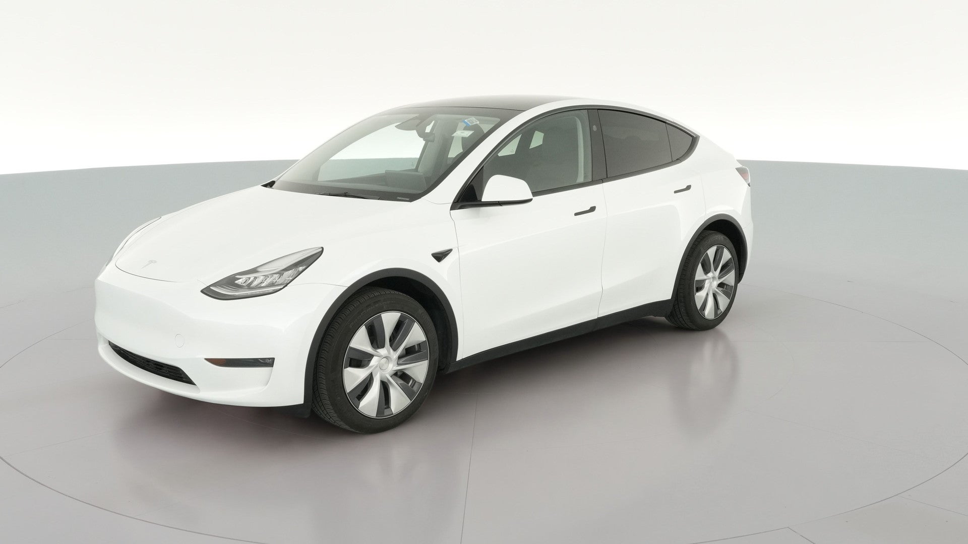 2023 Tesla Model Y vehicle photo