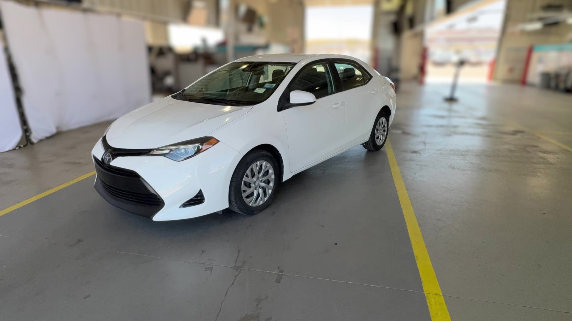 2019 Toyota Corolla vehicle photo