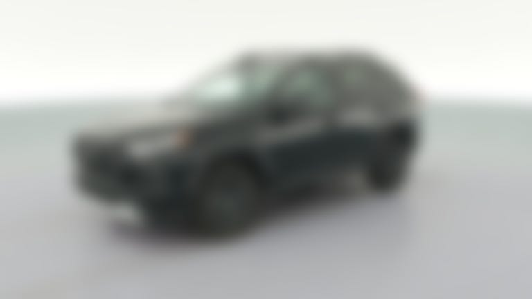 2024 Toyota RAV4 vehicle photo