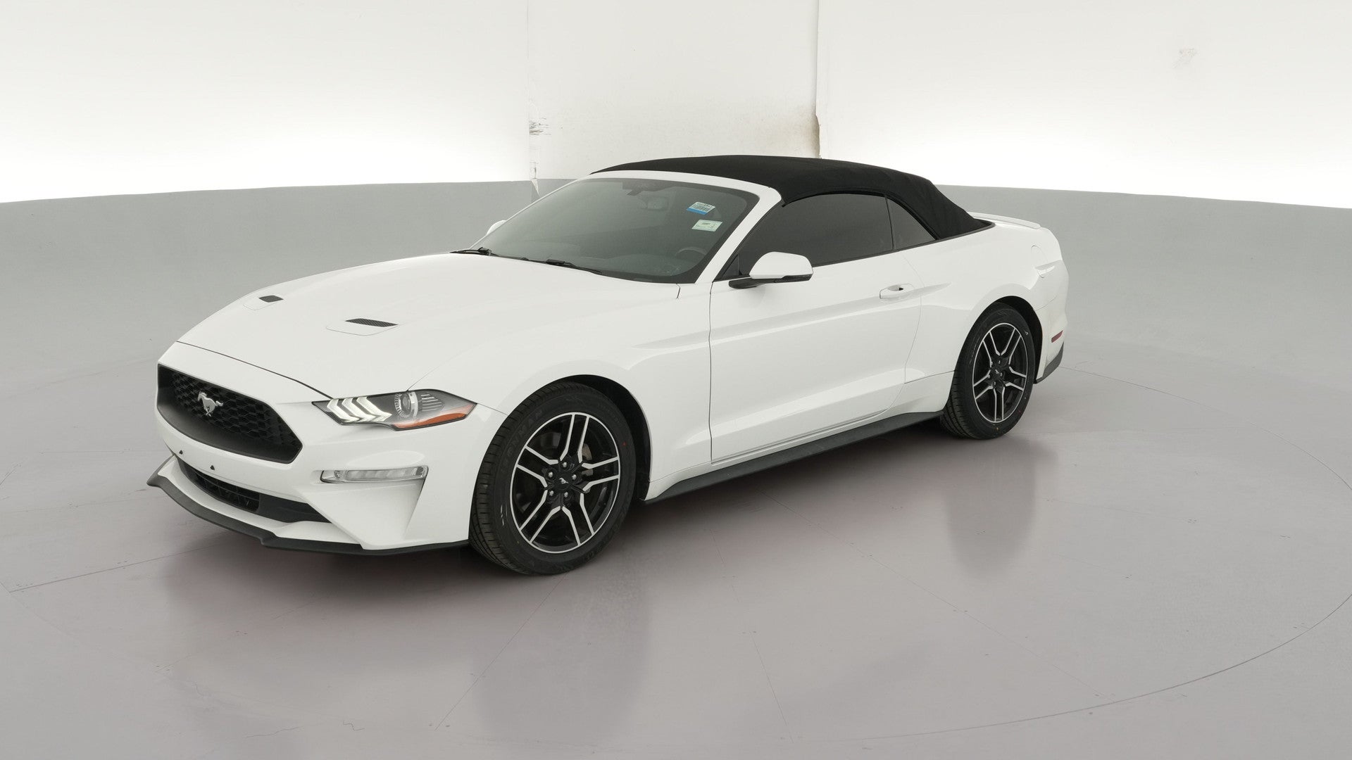 2019 Ford Mustang vehicle photo