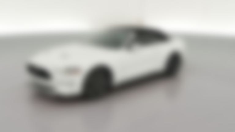 2019 Ford Mustang vehicle photo