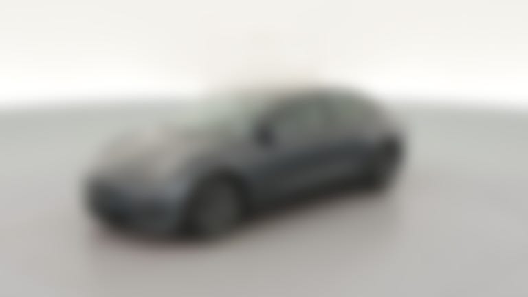 2021 Tesla Model 3 vehicle photo