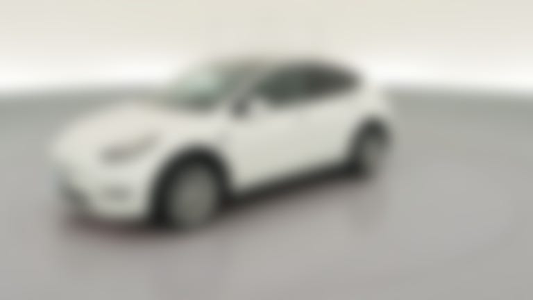 2021 Tesla Model Y vehicle photo