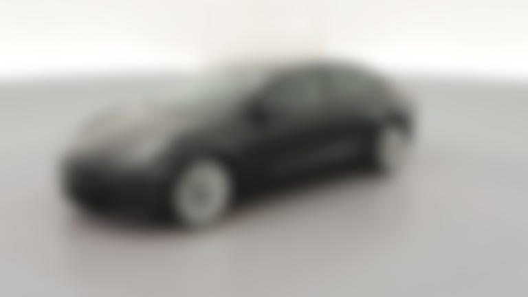 2021 Tesla Model 3 vehicle photo