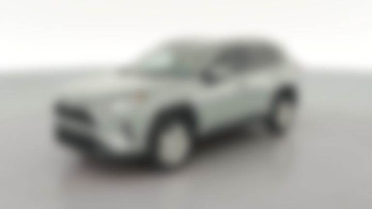 2019 Toyota RAV4 vehicle photo