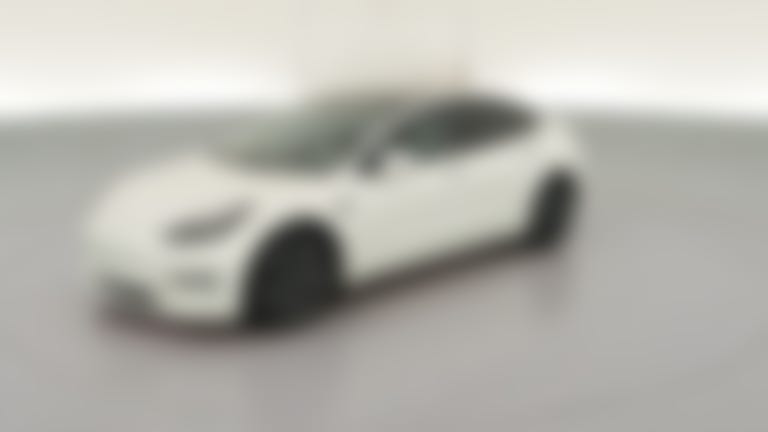 2021 Tesla Model 3 vehicle photo