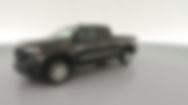 2019 Chevrolet Silverado 1500 Double Cab vehicle photo