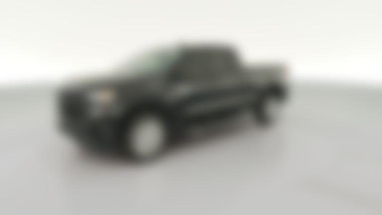2019 Chevrolet Silverado 1500 Double Cab vehicle photo