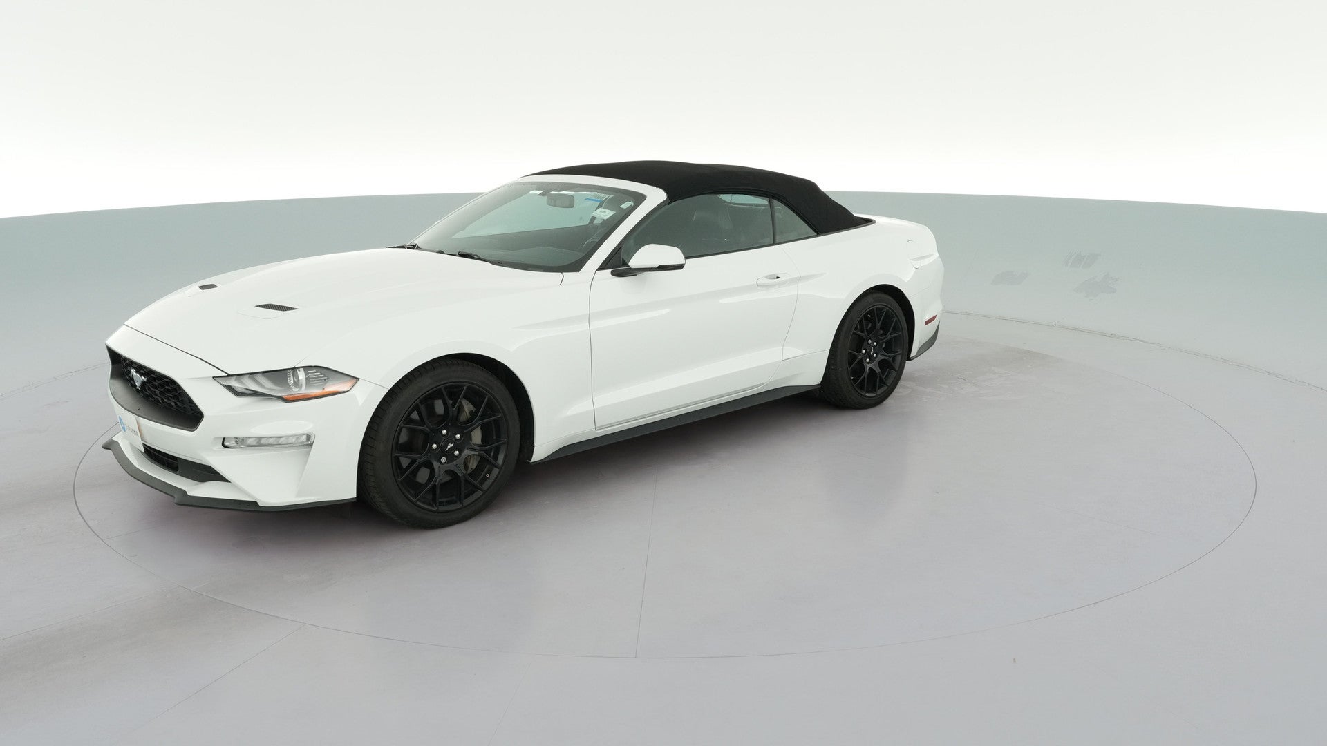 2019 Ford Mustang vehicle photo