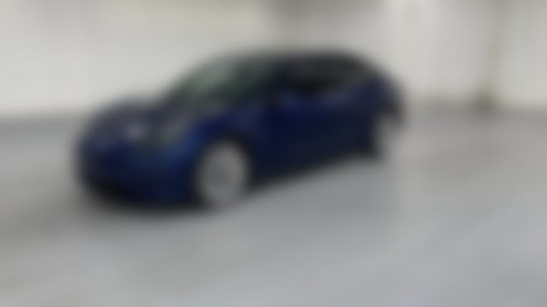 2021 Tesla Model 3 vehicle photo