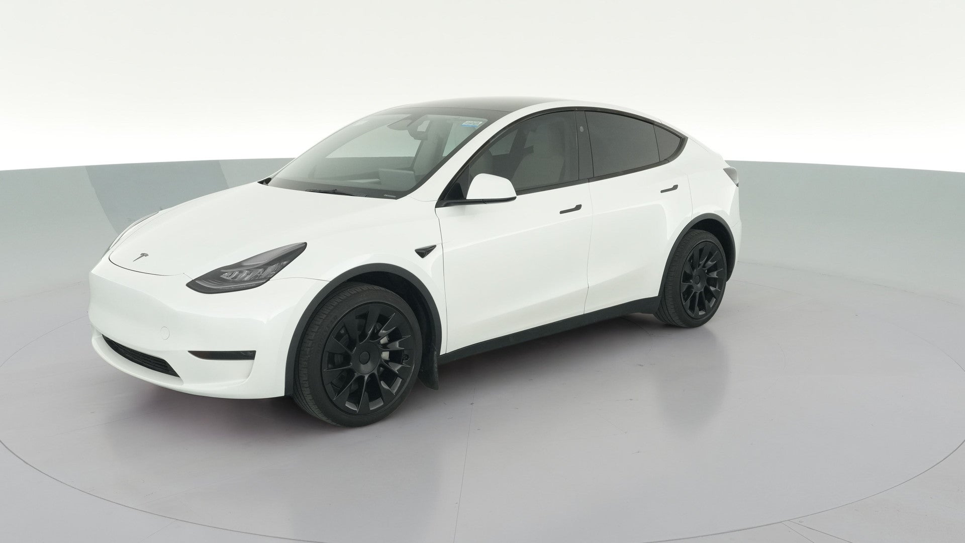 2023 Tesla Model Y vehicle photo