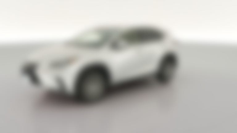2019 Lexus NX vehicle photo