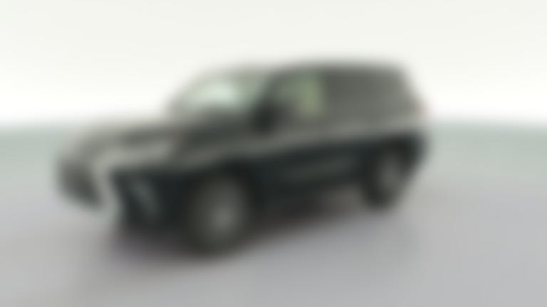 2019 Lexus LX vehicle photo