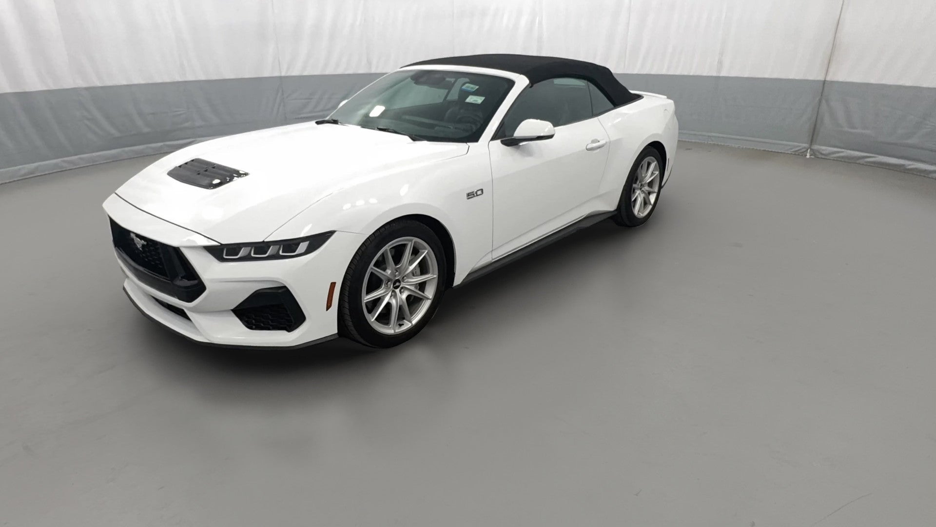 2024 Ford Mustang vehicle photo
