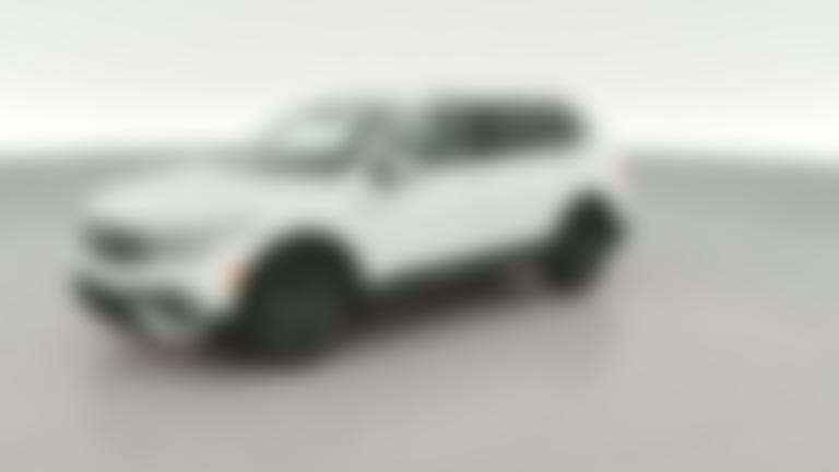 2024 Volkswagen Tiguan vehicle photo