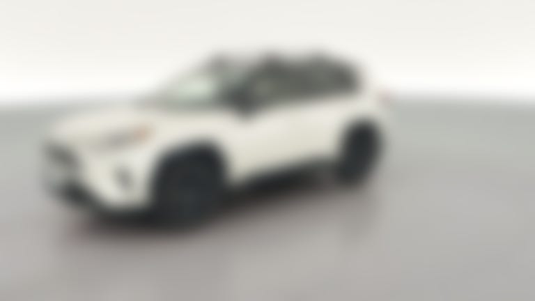 2019 Toyota RAV4 Hybrid vehicle photo