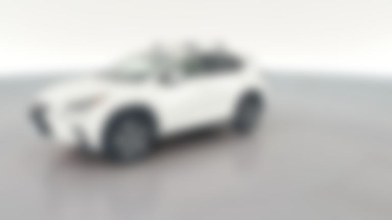 2019 Lexus NX vehicle photo
