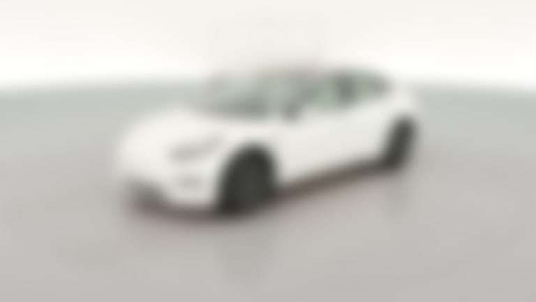 2021 Tesla Model 3 vehicle photo