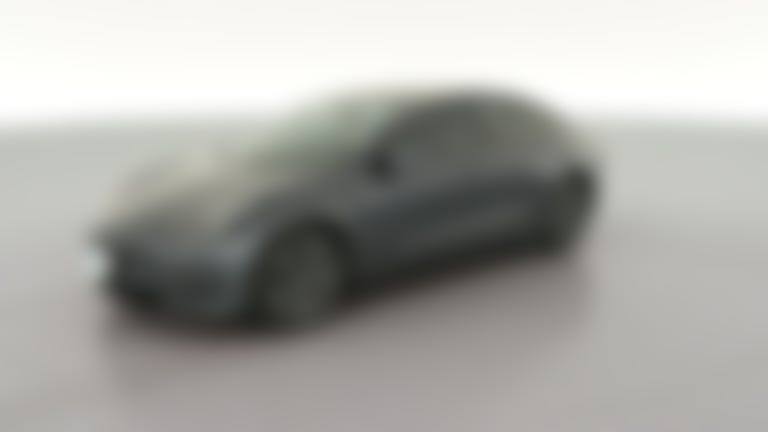 2021 Tesla Model 3 vehicle photo