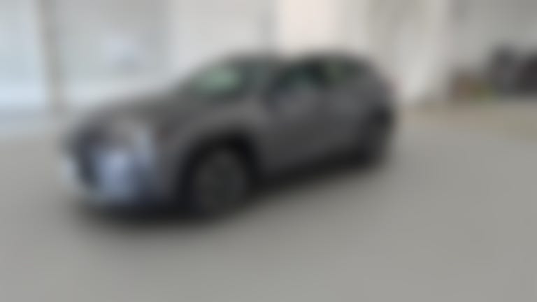 2019 Lexus UX vehicle photo