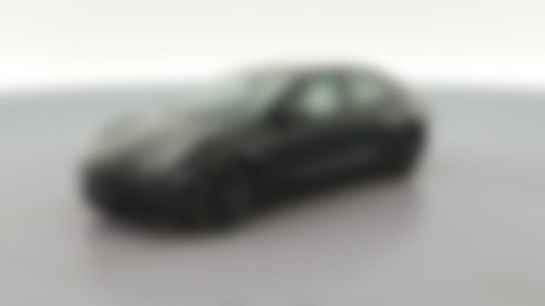 2021 Tesla Model 3 vehicle photo