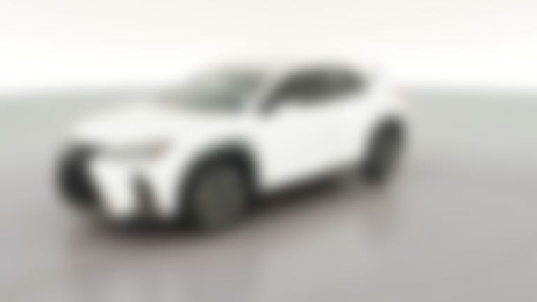 2021 Lexus UX vehicle photo