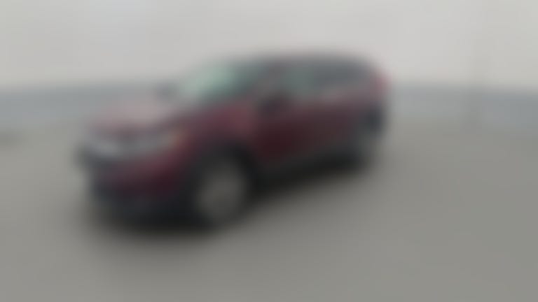 2019 Honda CR-V vehicle photo