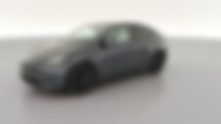 2020 Tesla Model Y vehicle photo