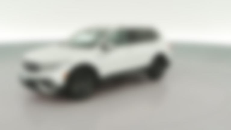 2023 Volkswagen Tiguan vehicle photo