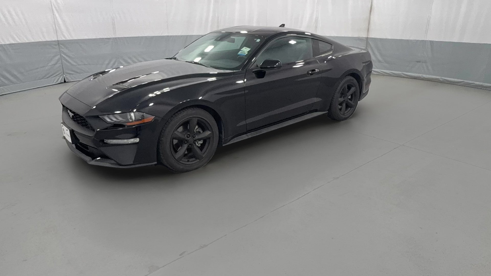2022 Ford Mustang vehicle photo