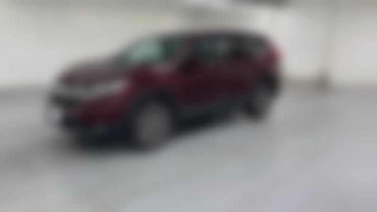 2019 Honda CR-V vehicle photo