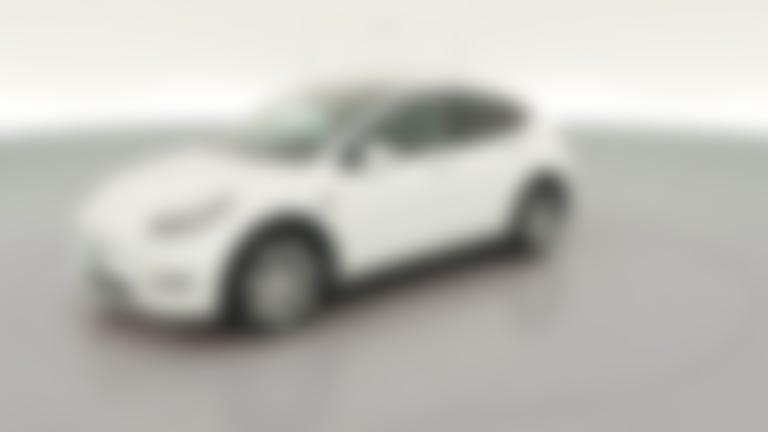 2020 Tesla Model Y vehicle photo