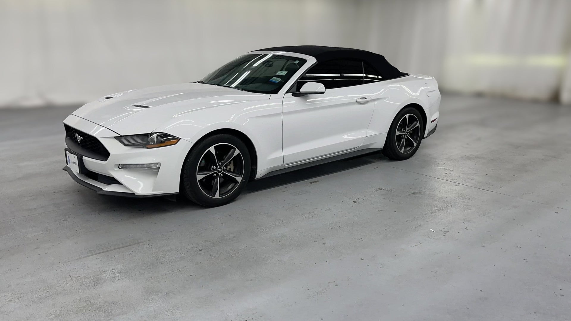 2019 Ford Mustang vehicle photo